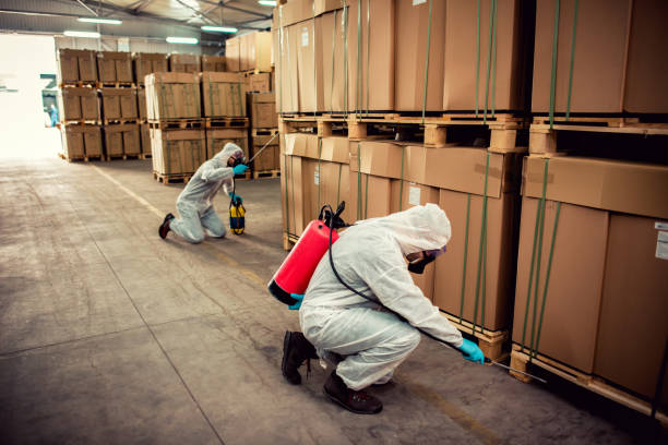 Best Local Pest Control Services  in Ross, OH