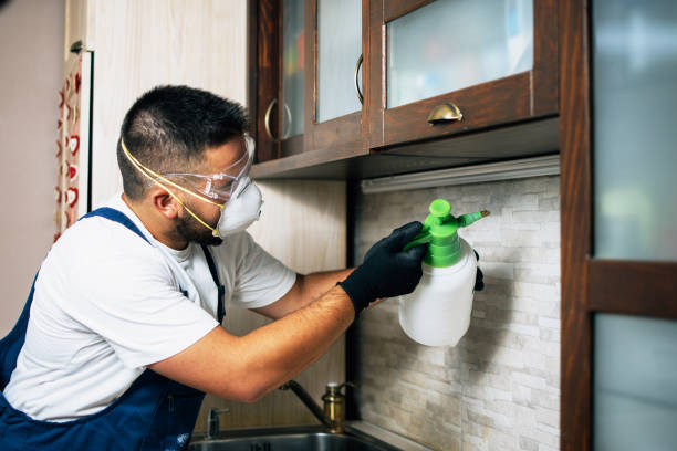 Best Pest Inspection Near Me  in Ross, OH