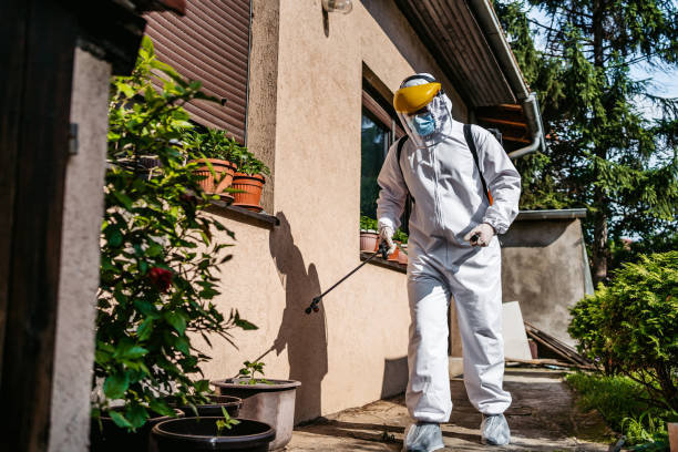Best Flea Control Services  in Ross, OH