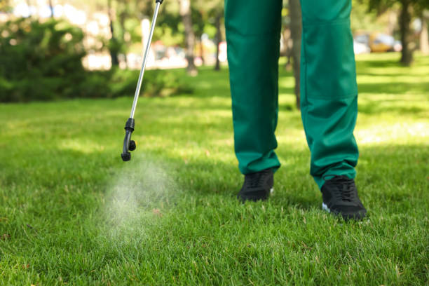Best Pest Prevention Services  in Ross, OH