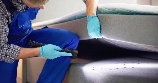 Best Wasp Removal Services  in Ross, OH