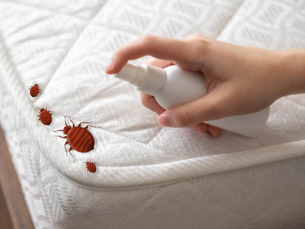 Best Commercial Pest Control Services  in Ross, OH