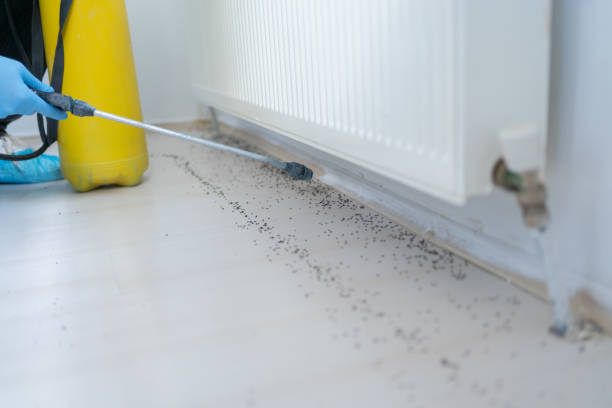Best Wildlife Control Services  in Ross, OH