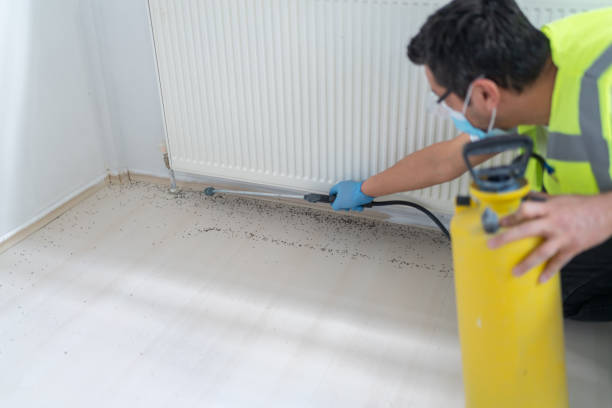 Best Affordable Pest Control Services  in Ross, OH