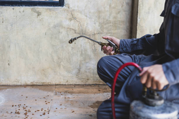 Best Mosquito Control Services  in Ross, OH